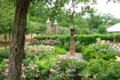 
                    
                        Rose garden by P. Allen Smith. Get more design tips ...
                    
                