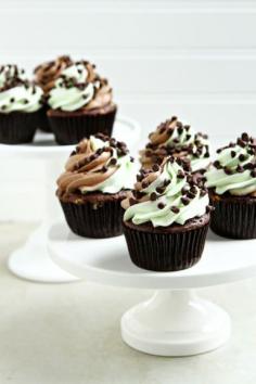 
                    
                        Mint Chocolate Chip Cupcakes with swirled buttercream.
                    
                