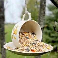 
                    
                        Create this simple, unique and inexpensive to make bird feeder for yourself, or for that bird lover in your life
                    
                
