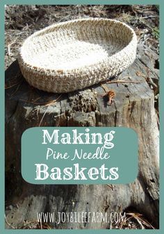 
                    
                        making pine needle baskets~JoybileeFarm
                    
                