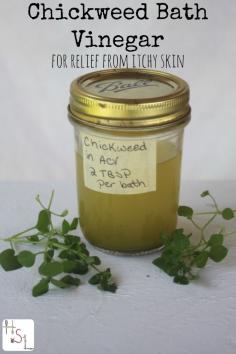 
                    
                        Use the natural power of mother nature to relieve itchy skin by making and using Chickweed Bath Vinegar.
                    
                