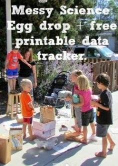 
                    
                        Fun learning activity for to do with your kids this summer.  Egg drops!  See who can construct the best vessel to protect their egg(s).  Free printable data tracker, too!
                    
                