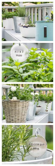 
                    
                        Plant a low maintenance herb garden in vintage containers. Use anything you have on hand from a metal bucket to an old watering can!
                    
                