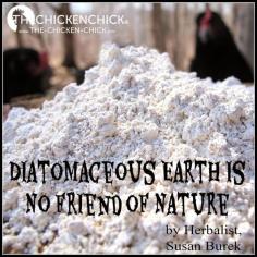 
                    
                        DE is not eco-friendly when used as a poultry pesticide and does not fit into a holistic, natural chicken keeping model.
                    
                