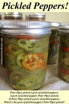 
                    
                        Pickled Peppers - Enjoy your hot peppers year round with this easy pickled pepper recipe for the water bath canner. Just 4 ingredients, use your favorite mix of hot peppers.
                    
                