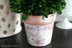 
                    
                        Easily transform a plain flower pot with paint and mod podge to create these Vintage Inspired Flower Pots.  {Canary Street Crafts}
                    
                