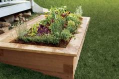 
                    
                        Build a raised bed come spring. Your back with thank you. (You're welcome;) Photo: Kolin Smith | thisoldhouse.com
                    
                