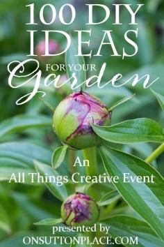 
                    
                        100 DIY Ideas for Your Garden | Tips and advice for all types of gardening. Container, Vegetable, Herbs, Flowers, Landscape and more! 10 bloggers are sharing their best!
                    
                