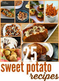 
                    
                        Do you love sweet potatoes?  Check out all 25 of these sweet potato recipes!  They are perfect for fall or Thanksgiving!  Find recipes for sweet potato pancakes to sweet potato casseroles.  Yum!
                    
                