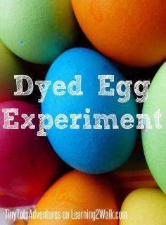 
                    
                        Have you ever dyed an egg? Do you know how? Try this preschool science experiment for a fun sensory play activity.
                    
                