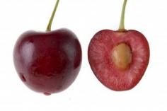 
                    
                        Tips For Planting Cherry Seeds: Can You Grow A Cherry Tree Pit - If you are a cherry lover, you’ve probably spit your share of cherry pits, or maybe it’s just me. At any rate, have you ever wondered “can you grow a cherry tree pit?” If so, how do you grow cherry trees from pits? This article will help.
                    
                