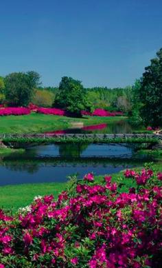 
                    
                        Mirror Lake at Bellingrath Gardens in Theodore, Alabama • photo: Bellingrath Gardens and Home
                    
                