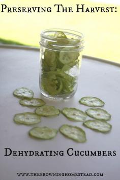 
                    
                        Easily dehydrate cucumbers to preserve summers bounty. Get creative in ways you use them!
                    
                