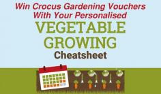 
                    
                        Win £50 Crocus Vouchers to Grow Your Own
                    
                