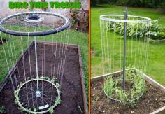 
                    
                        24 Highly Creative and Clever Gardening Tricks to Enhance Garden homesthetics decor (11)
                    
                