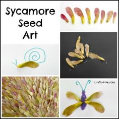 
                    
                        Sycamore Seed Art - fun ideas for kids!
                    
                