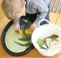 
                    
                        Creating nature portraits! This fun crafts begins with a nature walk and ends with sticky paper on a mirror. So much learning taking place for kids!
                    
                