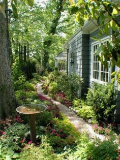 
                    
                        I love this side yard.....
                    
                
