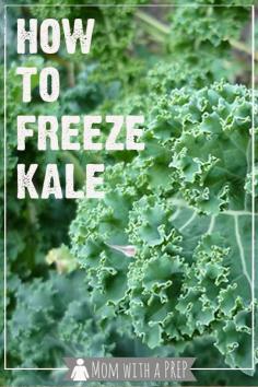 
                    
                        Mom with a PREP | When you have an overabundance of kale from a bumper garden crop or a CSA basket or a great sale at the grocers, what do you do with all that extra kale if you aren&#x27;t dehydrating it? You can freeze it raw, especially if you&#x27;re using it for smoothies!
                    
                