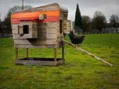 
                    
                        6 Modern/Funky chicken coop designs
                    
                