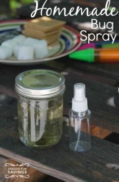 
                    
                        How to Make your own Bug Spray! DIY Bug Spray Recipe for an All Natural Bug Spray with no chemicals!
                    
                