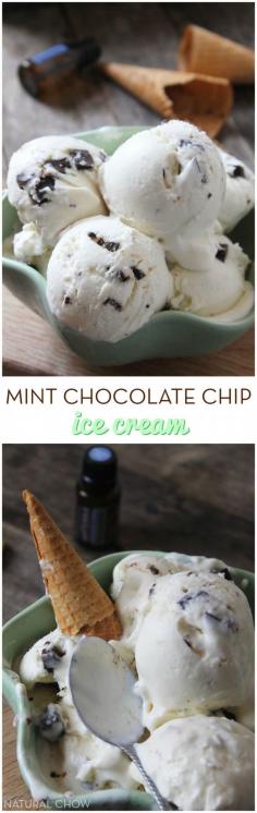 
                    
                        Mint Chocolate Chip Ice Cream + A Giveaway | Natural Chow
                    
                