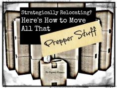 
                    
                        Strategically Relocating? Here's How to Move All That Prepper Stuff | The Organic Prepper
                    
                