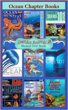 
                    
                        Ocean Chapter Books
                    
                