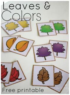 
                    
                        Free Fall Colors Printable Actvities for Preschoolers. Three fun activities for fall!
                    
                