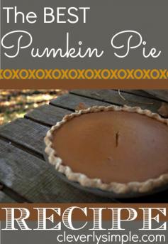 
                    
                        The BEST ever Pumpkin Pie recipe!!
                    
                