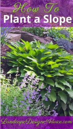 
                    
                        Landscaping Steep Slopes
                    
                