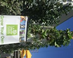 
                    
                        Will #Urban #Vertical #Gardens Save Our #Food System? www.organicauthor...
                    
                