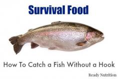 
                    
                        Survival Food: How To Catch a Fish Without a Hook
                    
                