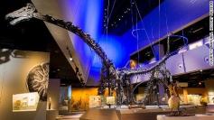
                    
                        From dino skeletons to the world's largest crocodile, the city's newest museum is a visual feast on the outside as well as the inside.
                    
                