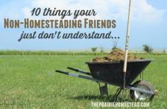 
                    
                        non-homesteading-friends-2
                    
                