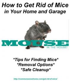
                    
                        How to Get Rid of Mice In Your Home and Garage - Tips for finding mice, keeping mice out, removing mice that are living in your home, and safe cleanup of mice and their droppings.
                    
                