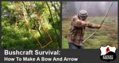 
                    
                        Bushcraft Survival: How to Make a Bow and Arrow
                    
                