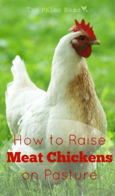 
                    
                        How to Raise Meat Chickens on Pasture thepaleomama.com/...
                    
                