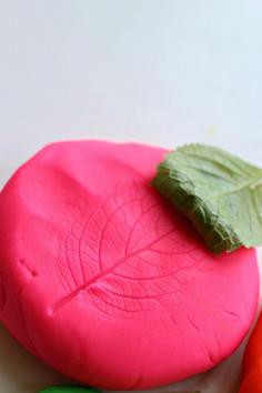 
                    
                        Nature prints – go on a nature hunt and come back and explore it by making prints on the Play-Doh compound.
                    
                