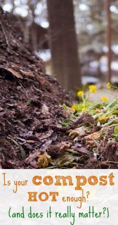 
                    
                        Compost Temperature:  Does it really matter?  :: Five Little Homesteaders
                    
                