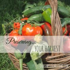 
                    
                        Preserving Your Harvest - You have spent months planning, planting, growing, watering, fertilizing and now your garden is producing baskets of fresh vegetables for you to enjoy. #gardening
                    
                
