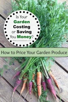 
                    
                        How to Price Out Your Homegrown Produce
                    
                
