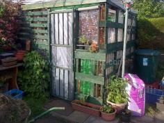 
                    
                        Pallet and Plastic Bottle Greenhouse
                    
                