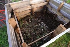 
                    
                        Wood Pallet Compost Bin Tutorial
                    
                