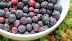 
                    
                        Saskatoon Berry by npr: The saskatoon looks like a blueberry and has a similar nutrient content.  But the shrub is more closely related to an apple tree. en.wikipedia.org/... #Berries #Saskatoon
                    
                