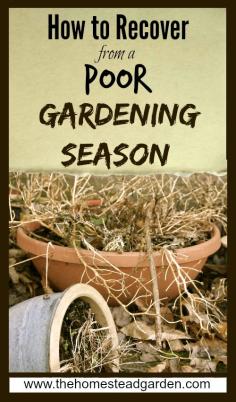 
                    
                        How to Recover from a Poor Gardening Season
                    
                