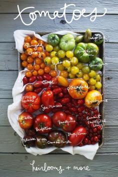 
                    
                        Tomatoes come in all different shapes, colors, sizes, and flavors. Get to know each member of the delicious family with this guide. via The Young Austinian
                    
                