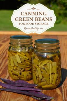 
                    
                        String beans are very productive and you may find yourself overwhelmed come harvest time. Preserve the harvest by pressure canning green beans for food storage.
                    
                