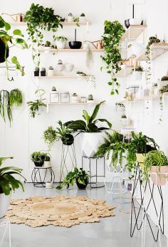 
                        
                            T.D.C | The New IVY MUSE store in Prahan, Melbourne
                        
                    