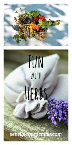 
                        
                            Fun with herbs at Sensible Gardening
                        
                    